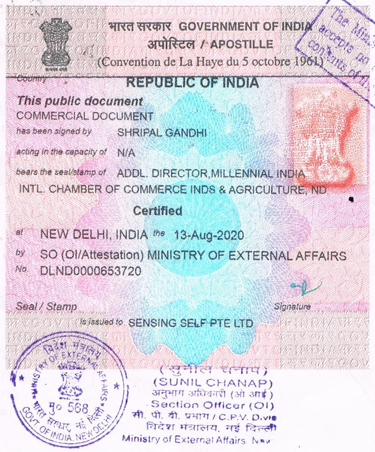 Sample of MEA Apostille certificate issued by the Ministry of External Affairs, India